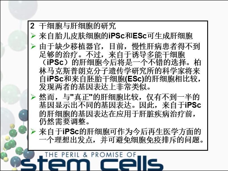 干细胞研究进展开题报告演示文稿-文档资料.ppt_第3页