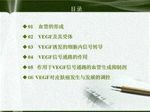 VEGF(血管内皮生长因子)-PPT文档.ppt