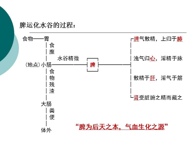 中医基础脾肝肾-PPT文档.ppt_第3页