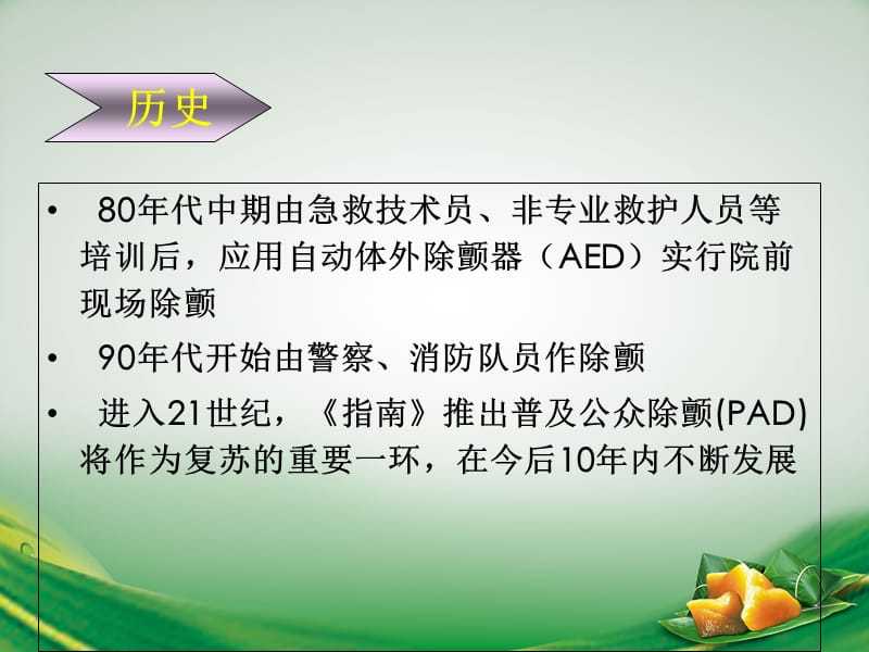 心脏除颤心内科-文档资料.ppt_第3页