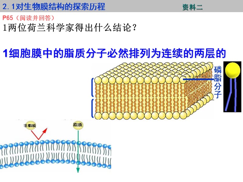 1-4-2细胞膜的流动镶嵌模型-PPT课件.ppt_第2页