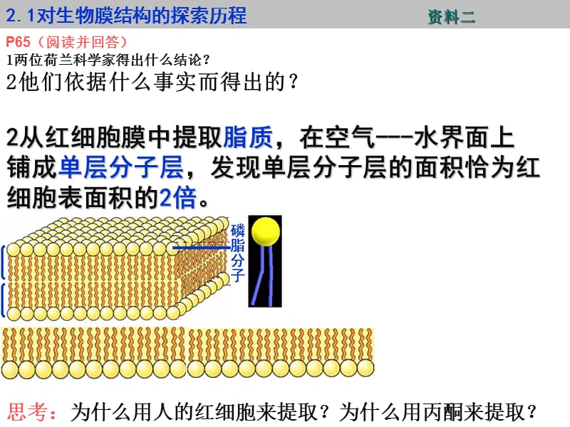 1-4-2细胞膜的流动镶嵌模型-PPT课件.ppt_第3页