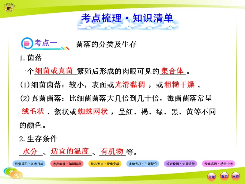 人教版初中生物中考复习八上第四章分布广泛的细菌和真菌第五章细菌和真菌在生物圈中的作用-PPT文档.ppt_第3页