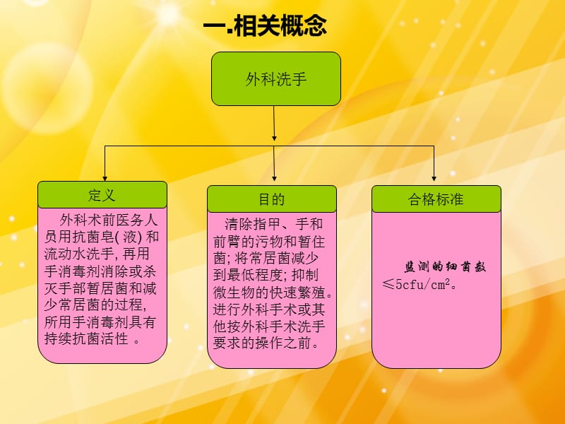 免刷式外科洗手法-文档资料.ppt_第2页