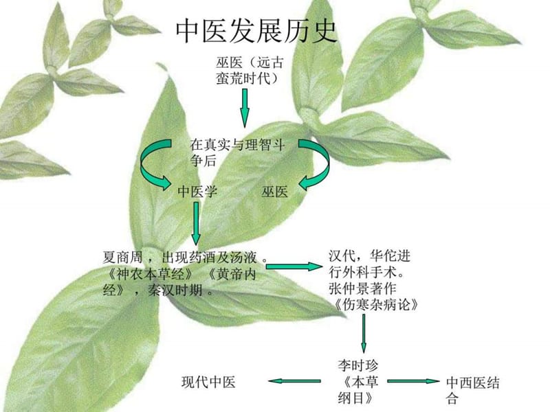 中医介绍ppt-课件(PPT演示)-文档资料.ppt_第2页