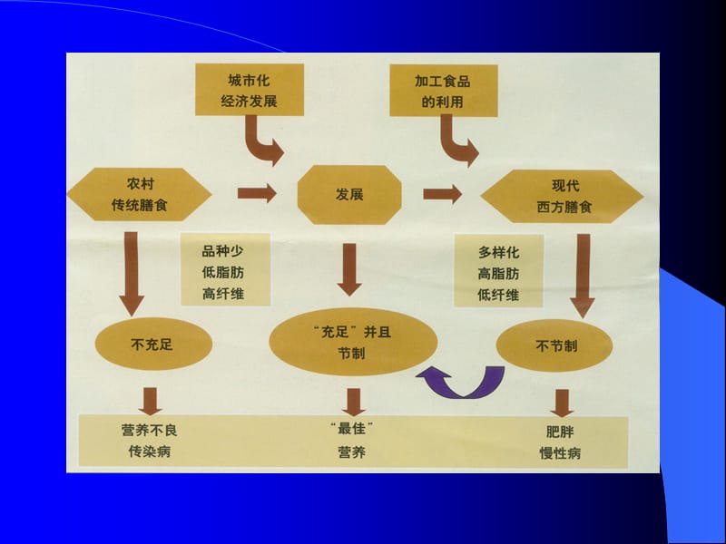 2018年营养与OB、AS、高血压-文档资料.ppt_第2页