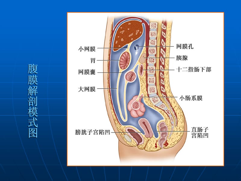 急性化脓性腹膜炎病人的护理1-文档资料.ppt_第3页