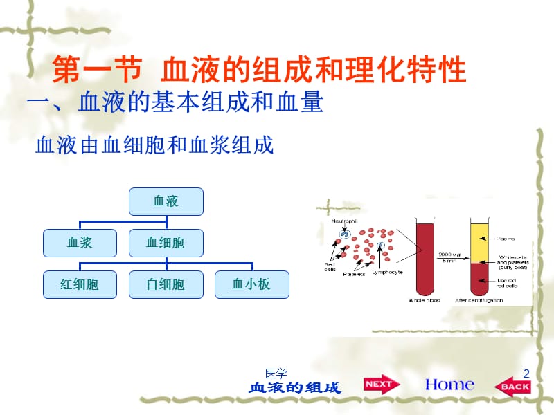 《生理学》血液》ppt课件-PPT文档.ppt_第2页