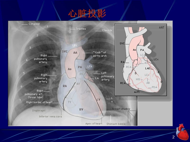 2018年完整版的心脏检查1-文档资料.ppt_第2页