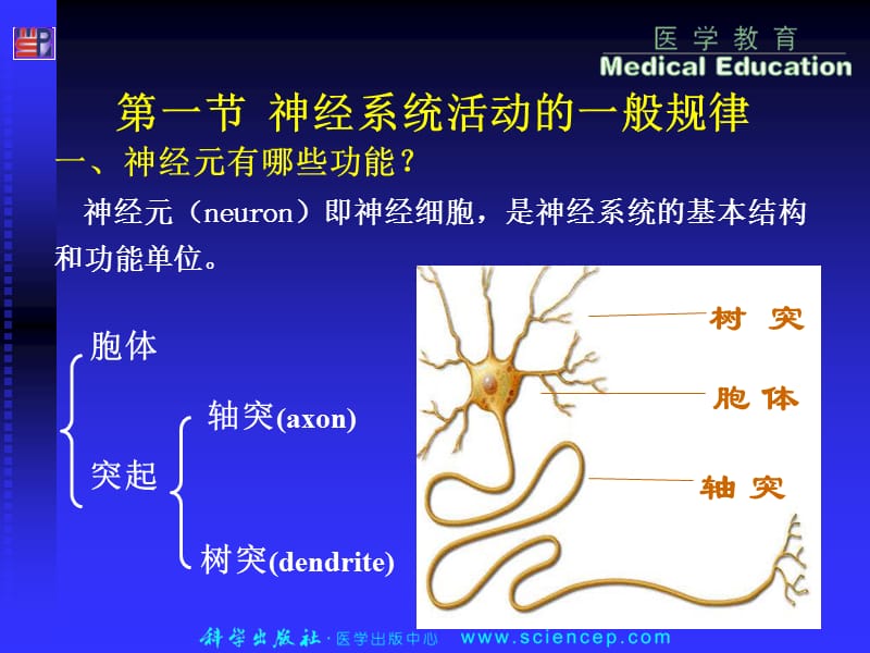 06-1,3,4神经系统生理学-PPT文档.ppt_第2页