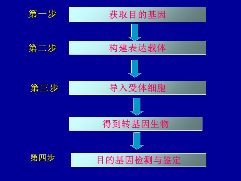 人教版教学课件福建省16次年会报告课件《基因工程和细胞工程》-PPT文档.ppt_第3页