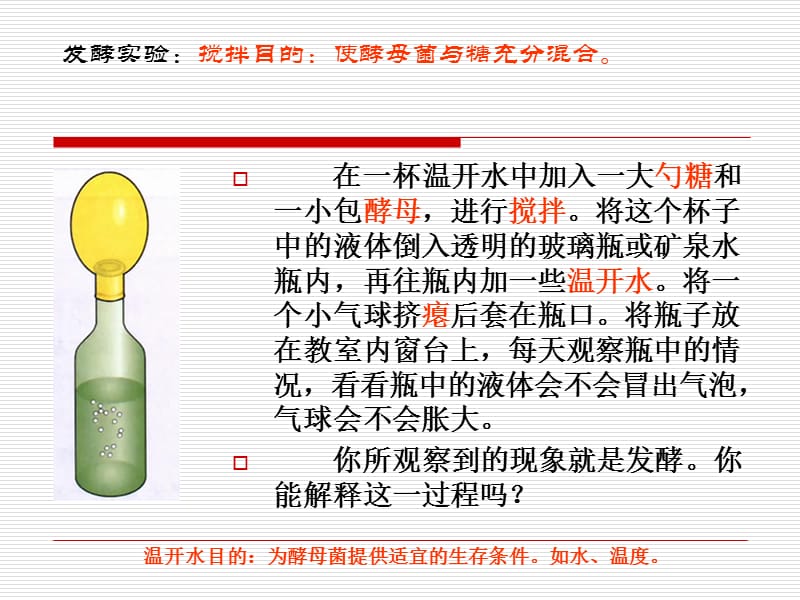 人类细菌和真菌利用-文档资料.ppt_第1页