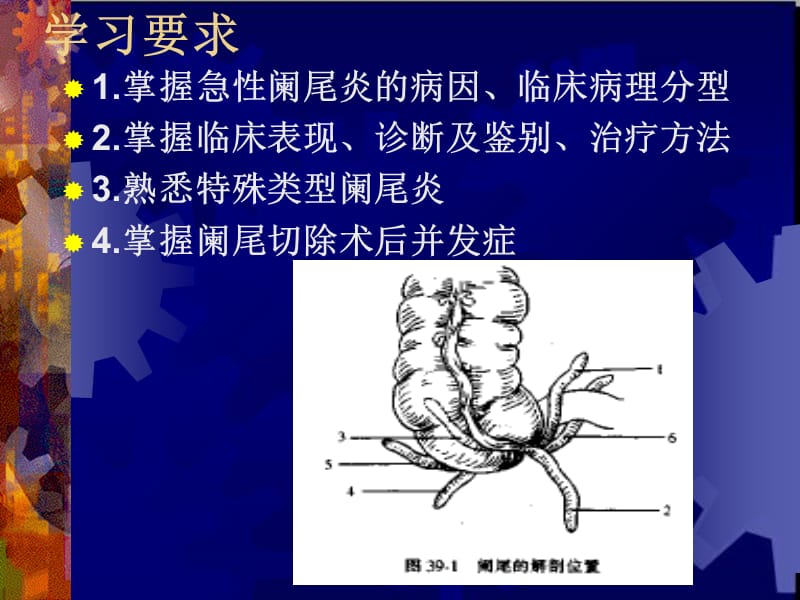 临床医学概要34阑尾炎溃疡穿孔ppt课件-文档资料.ppt_第1页