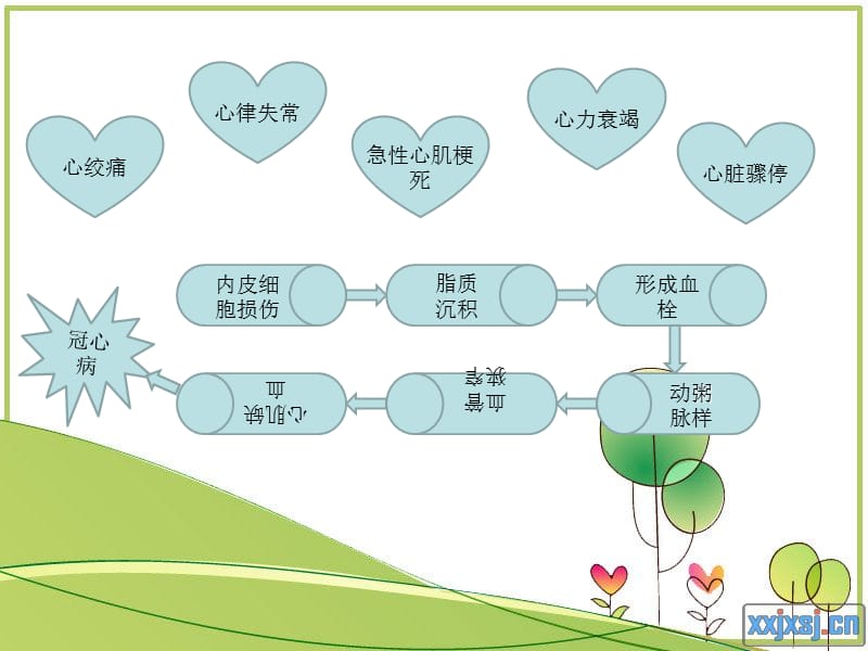 【医药健康】激光心肌血管重建术-文档资料.ppt_第3页