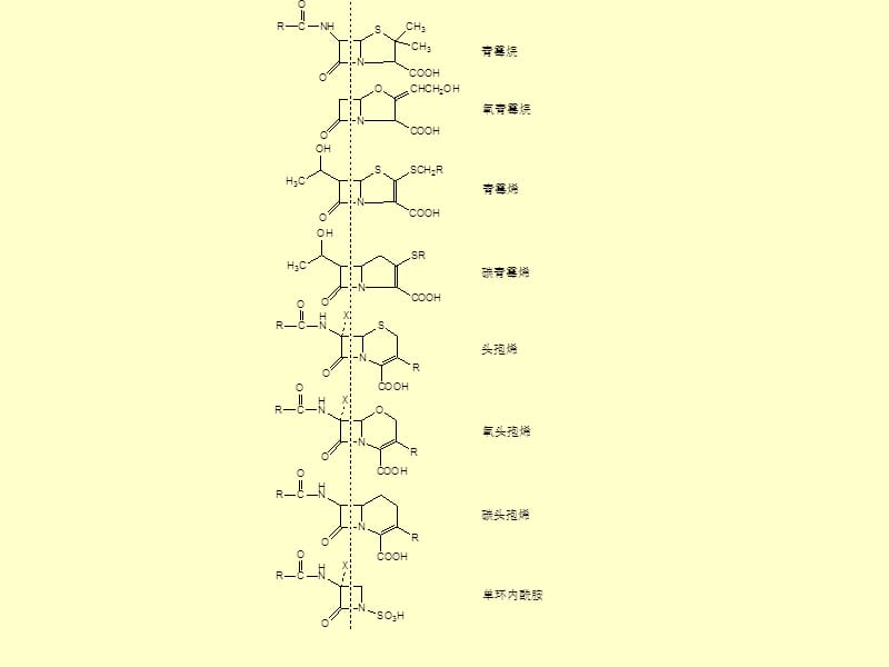 微生物药物学课件第5章－β内酰胺类抗生素-精选文档.ppt_第1页