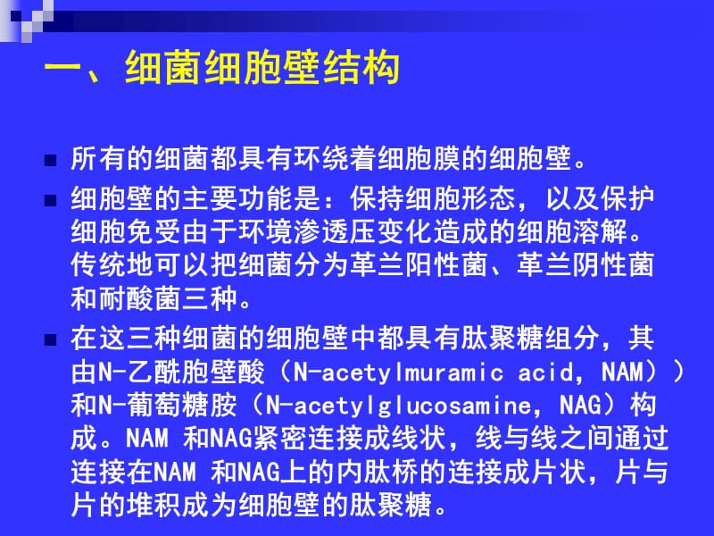 微生物药物学课件第5章－β内酰胺类抗生素-精选文档.ppt_第3页