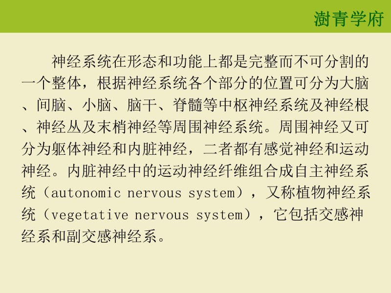 2018年神经统检查课件-文档资料.ppt_第2页