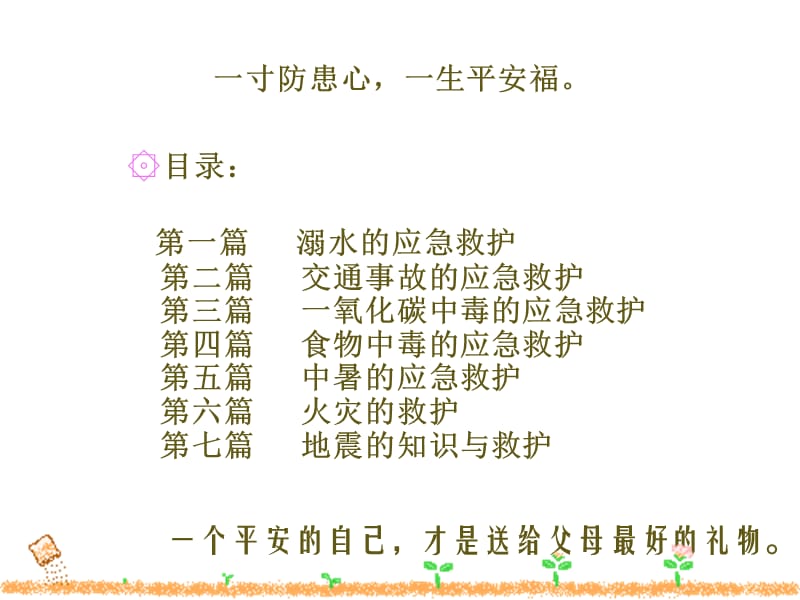 中小学生应急救护知识培训-精选文档.ppt_第1页