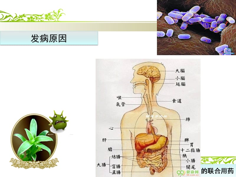 小儿胃肠型感冒的联合用药-精选文档.ppt_第3页