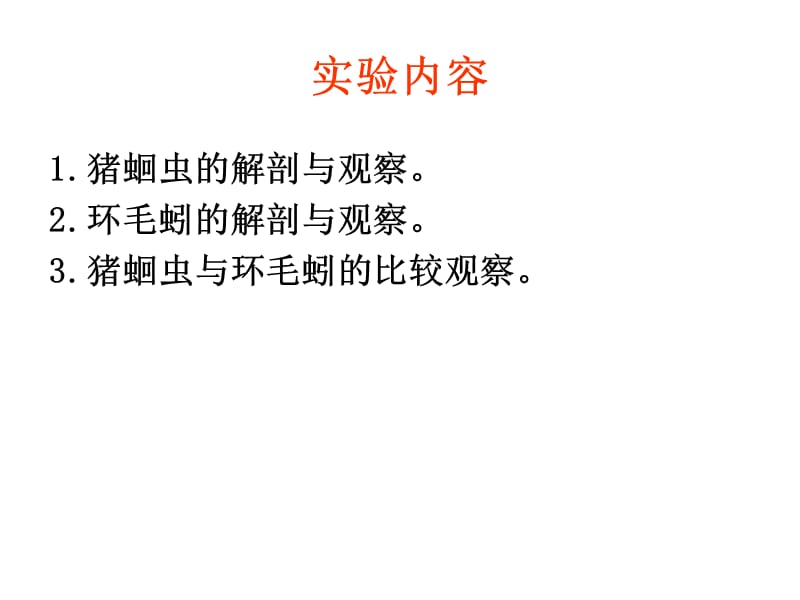 2018年蛔虫和环毛蚓比较解剖-文档资料.ppt_第2页