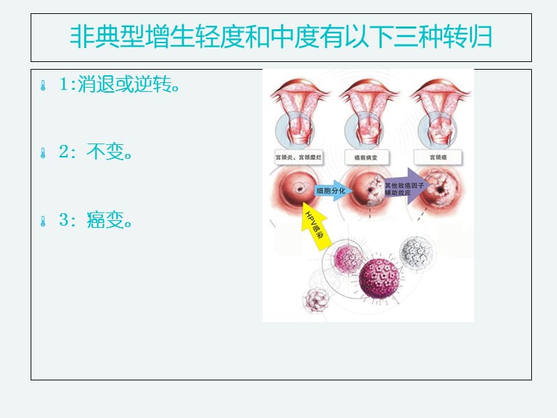 什么是不典型鳞状细胞-PPT文档.ppt_第2页