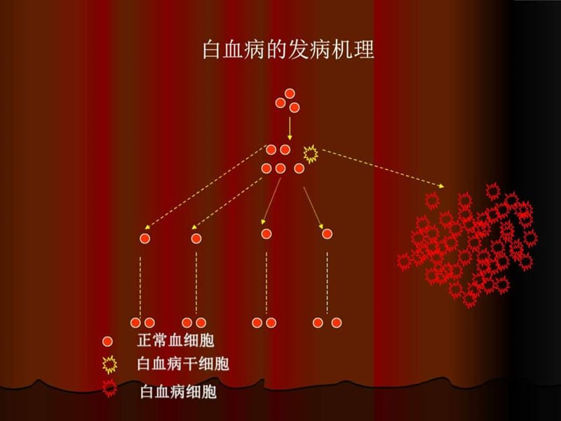 《急性白血病化疗》PPT课件-精选文档.ppt_第2页