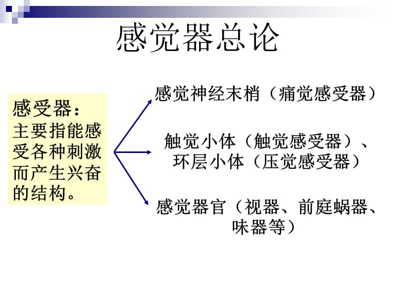 《解剖之感觉器》-文档资料.ppt_第1页