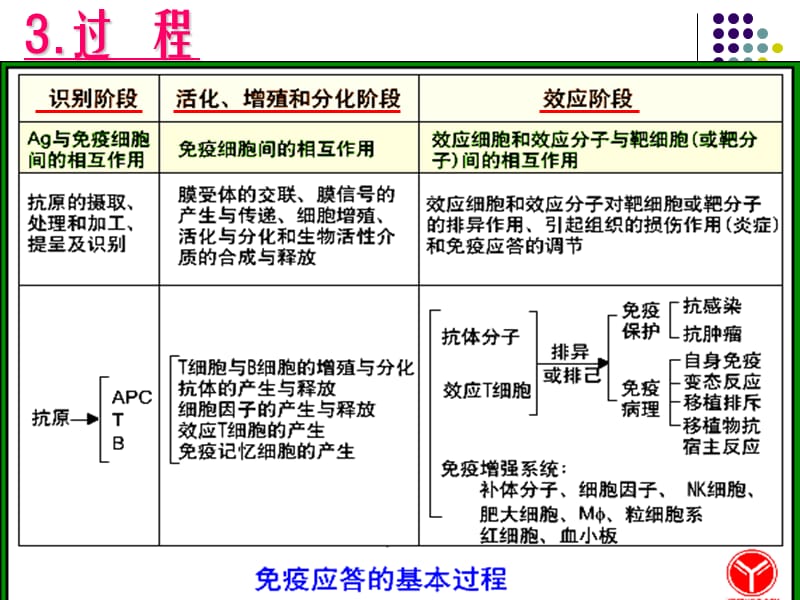 T细胞答介导的细胞免疫应-PPT文档.ppt_第3页