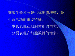 10细胞分裂和细胞周期1-文档资料.ppt