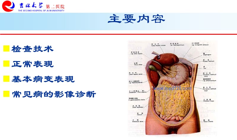 影像学-10腹膜腔及肠系膜-文档资料.ppt_第1页