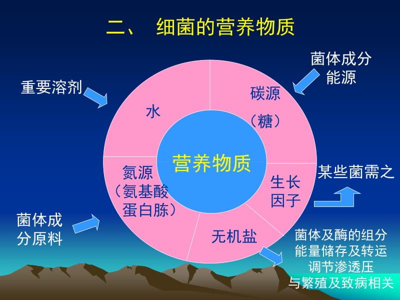 1-2细菌生理-文档资料.ppt_第3页