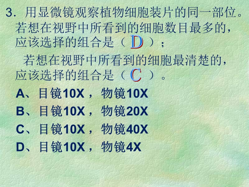 七年级生物细胞的结构和功能ppt课件-PPT文档.ppt_第1页