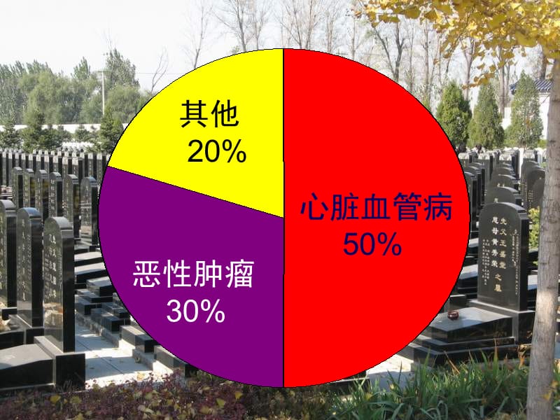 2018年中国高血压流行病学研究回顾-文档资料.ppt_第3页