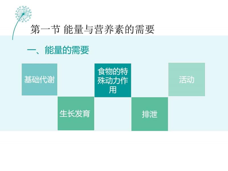 儿科学——营养与营养紊乱患儿-PPT文档.ppt_第3页