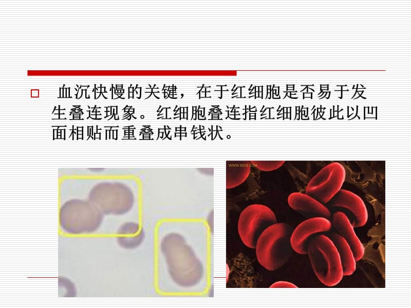 2018年临床部分实验室检测的的结果意义-文档资料.ppt_第3页