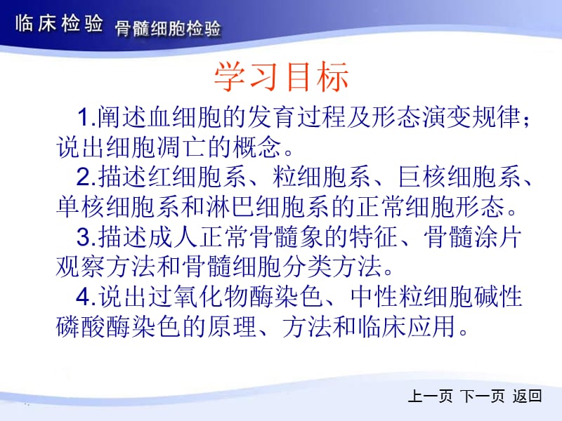 《骨髓细胞检验》PPT课件-精选文档.ppt_第2页