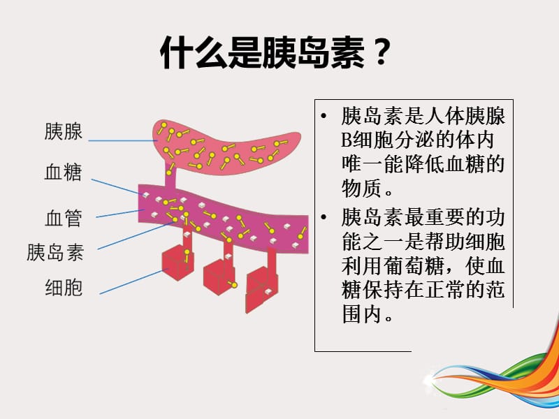 2018年胰岛素规范化注射ppt课件-文档资料.ppt_第3页