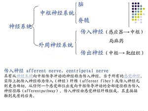 传出神经系统药理概论-精选文档.ppt