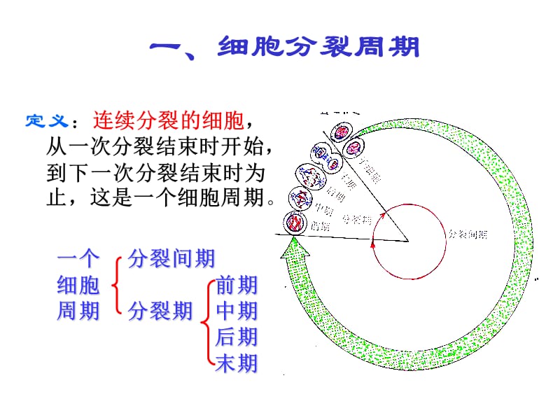 人教新课标版必修一6[1].1细胞增殖ppt课件3-文档资料.ppt_第1页