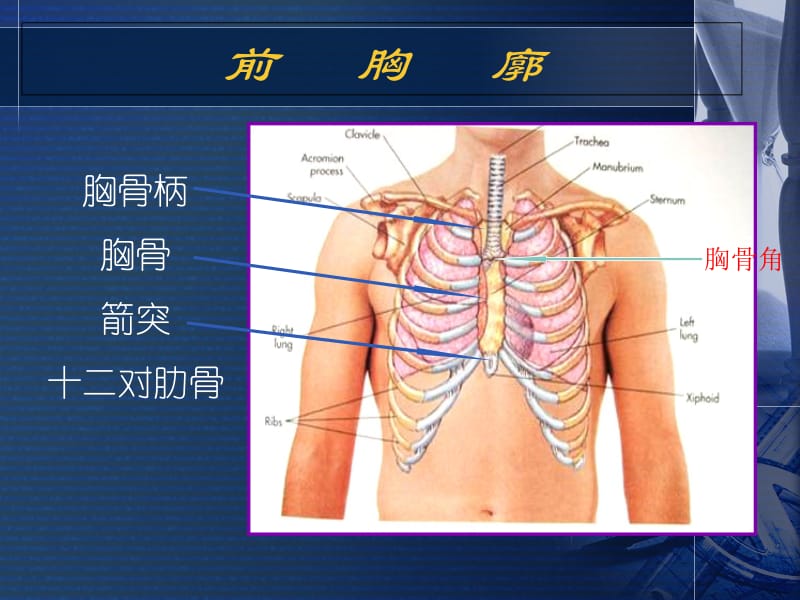 心脏检课件-精选文档.ppt_第2页