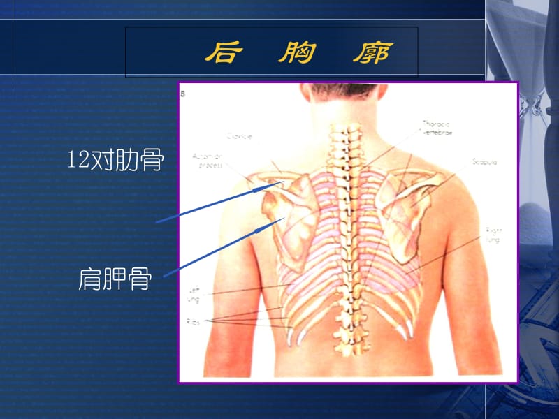 心脏检课件-精选文档.ppt_第3页