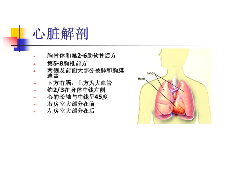 心脏检查-精选文档.ppt_第2页