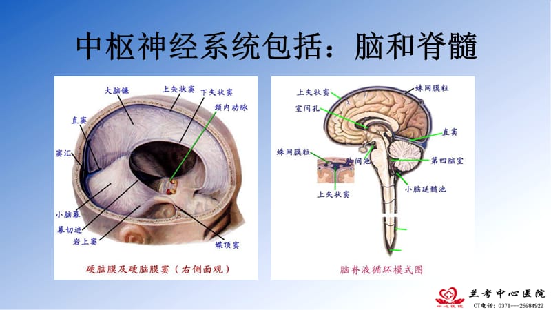 中枢神经系统影像诊断思路颅脑基础ppt课件-文档资料.pptx_第1页