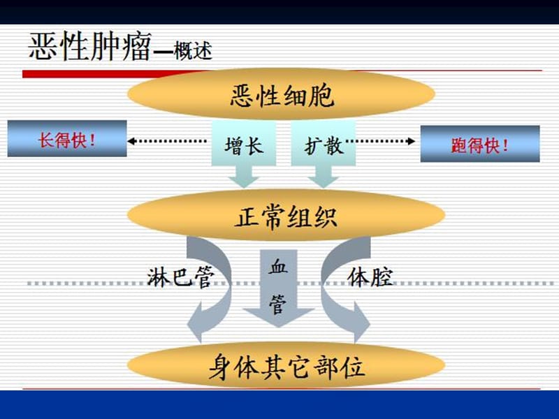 常见重大疾病-文档资料.ppt_第3页