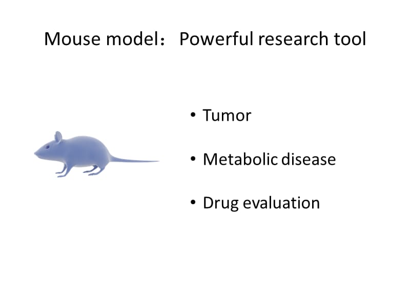 小鼠裸鼠肿瘤动物模型ppt课件-PPT文档.pptx_第1页