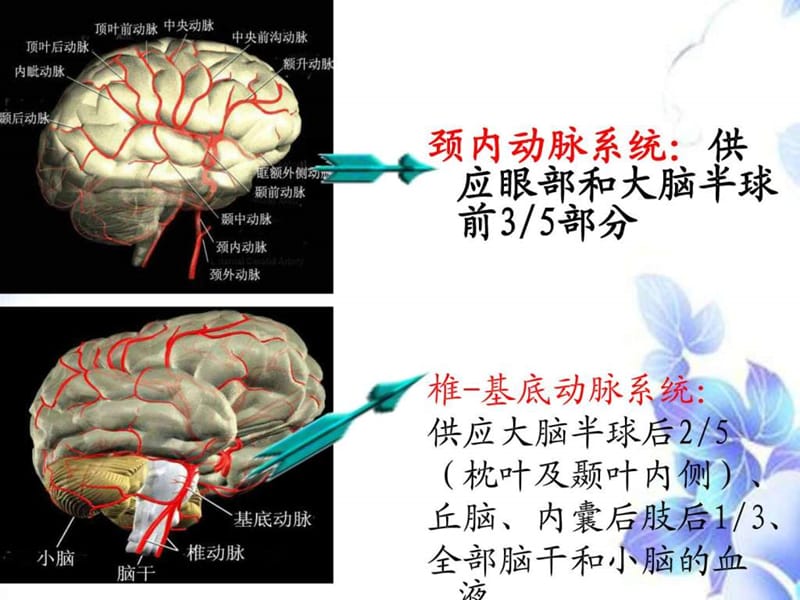 2018年脑血管疾病病人的护理-文档资料.ppt_第2页