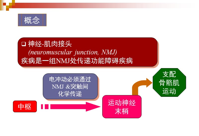 2018年神经肌肉接头疾病-文档资料.ppt_第1页