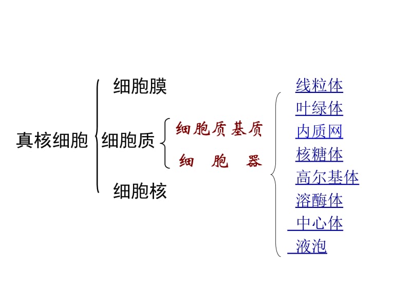 一轮必修1第6讲细胞器—系统内的分工合作-文档资料.ppt_第1页