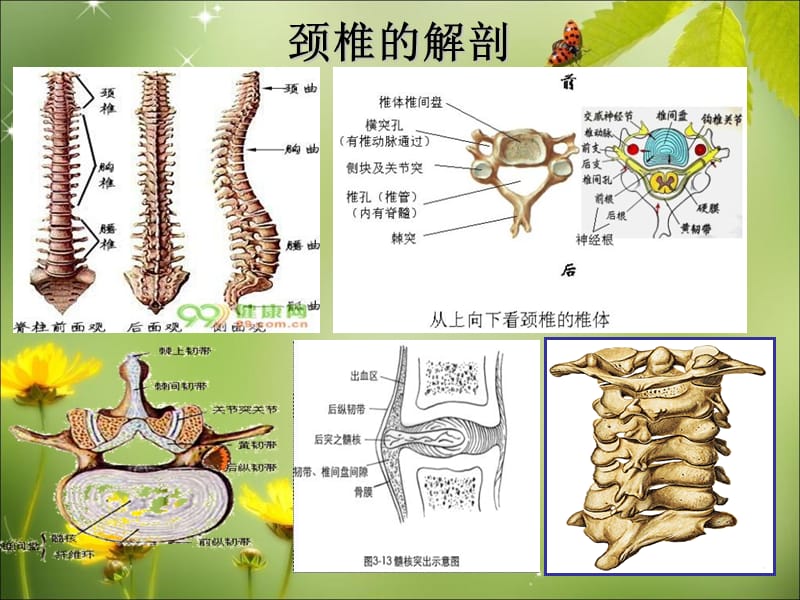 2018年颈椎病的护理实习生讲座-文档资料.ppt_第3页