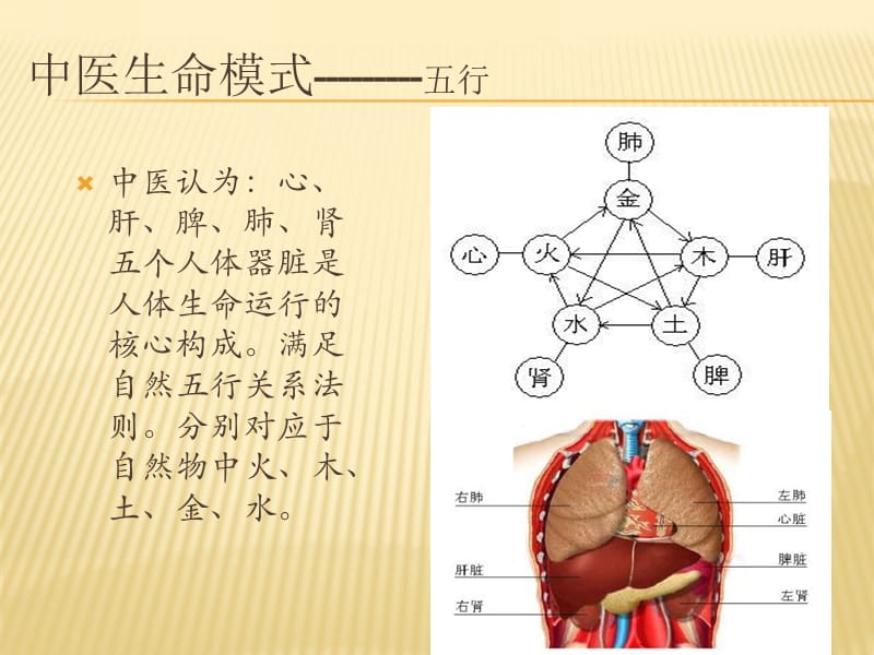 中医基础知识-精选文档.ppt_第3页